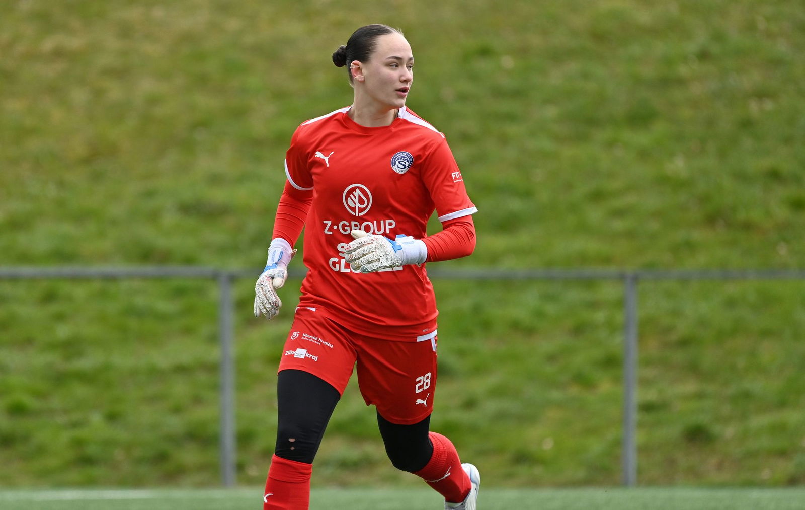 PJml_20240323_274389_web