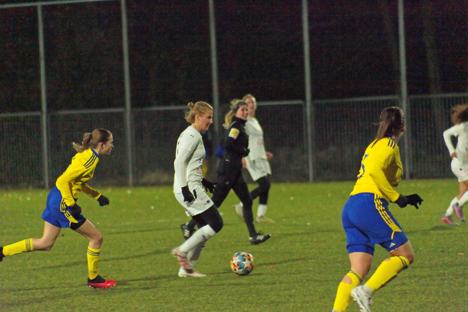 IMG_8440_20231124_zlnslo_2000