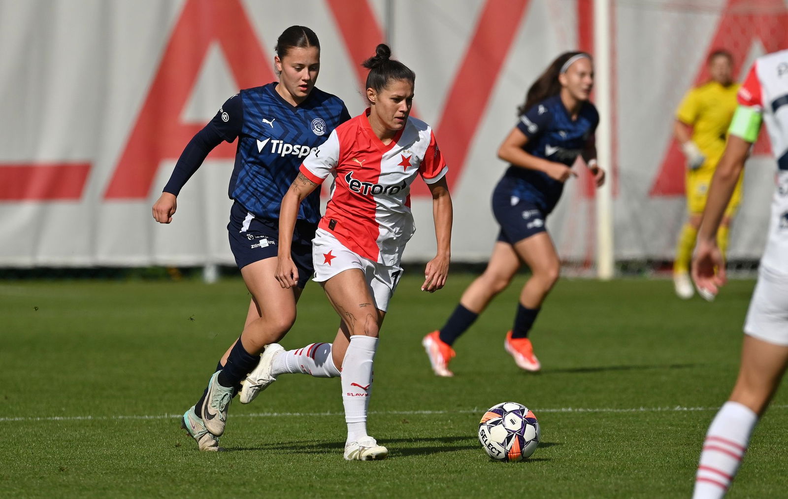 PJml_20240929_297024_web