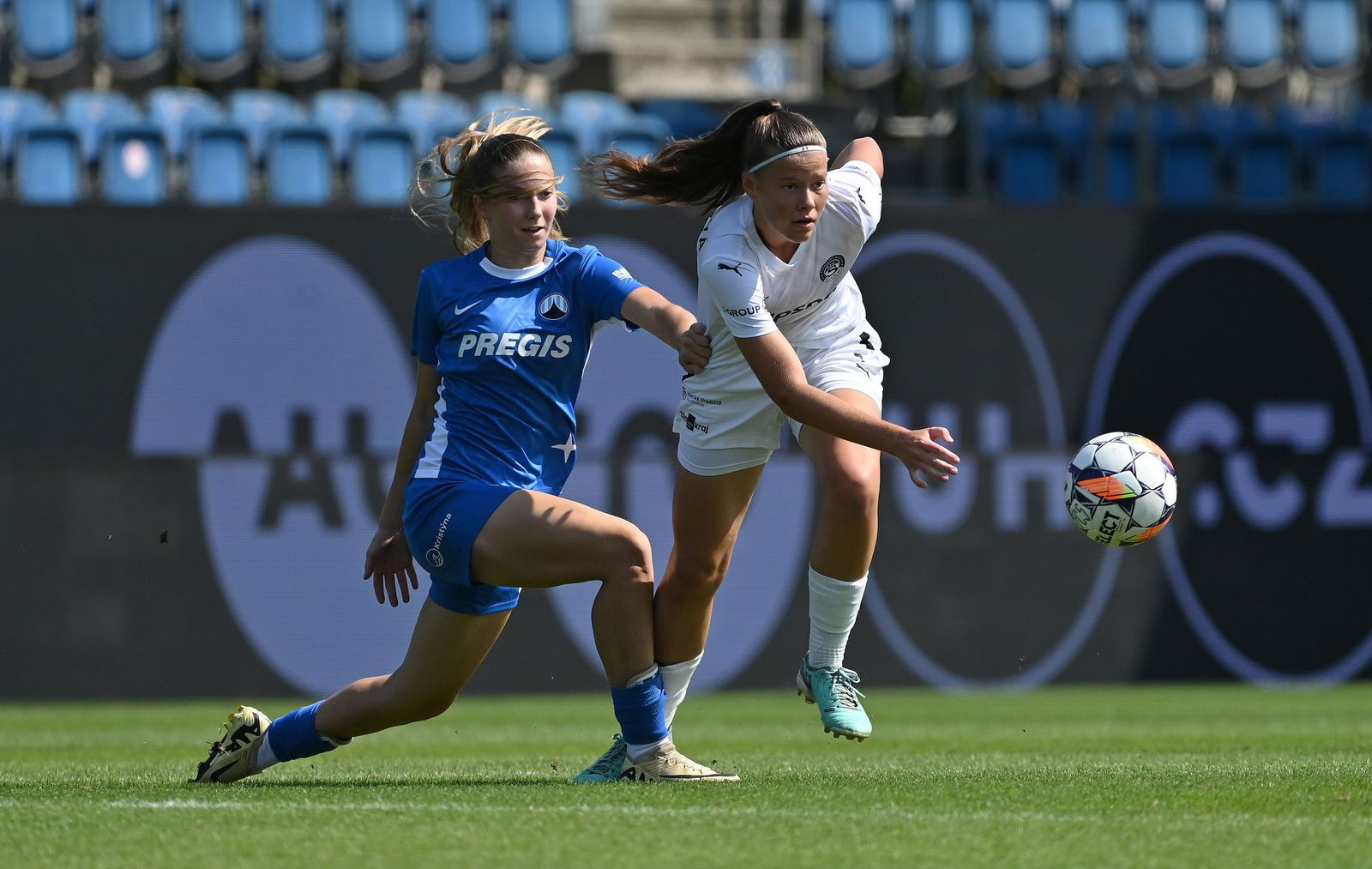 PJml_20240825_295233_web