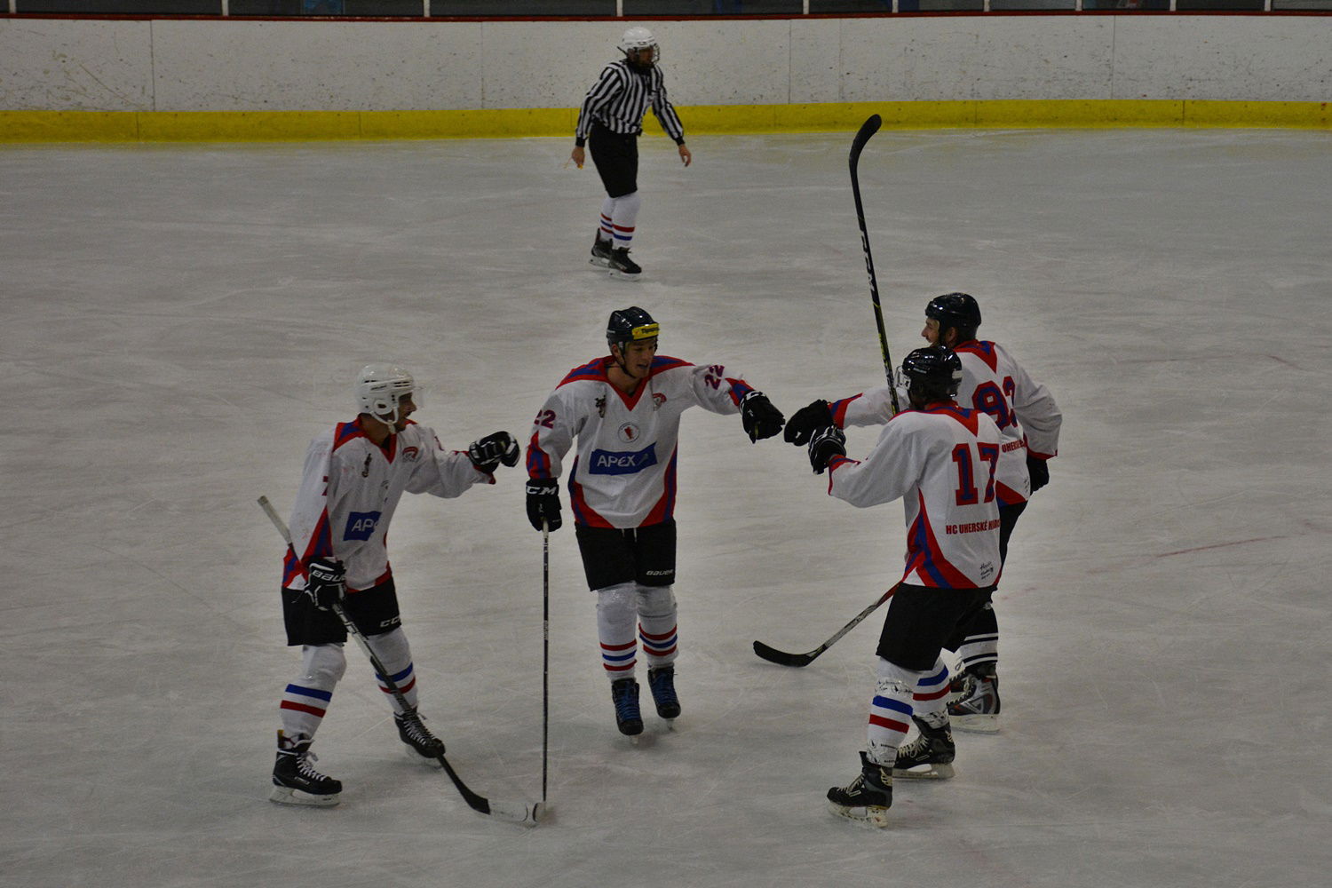hokej019