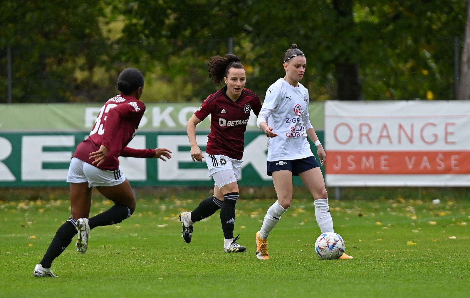 PJml_20231014_234762_web