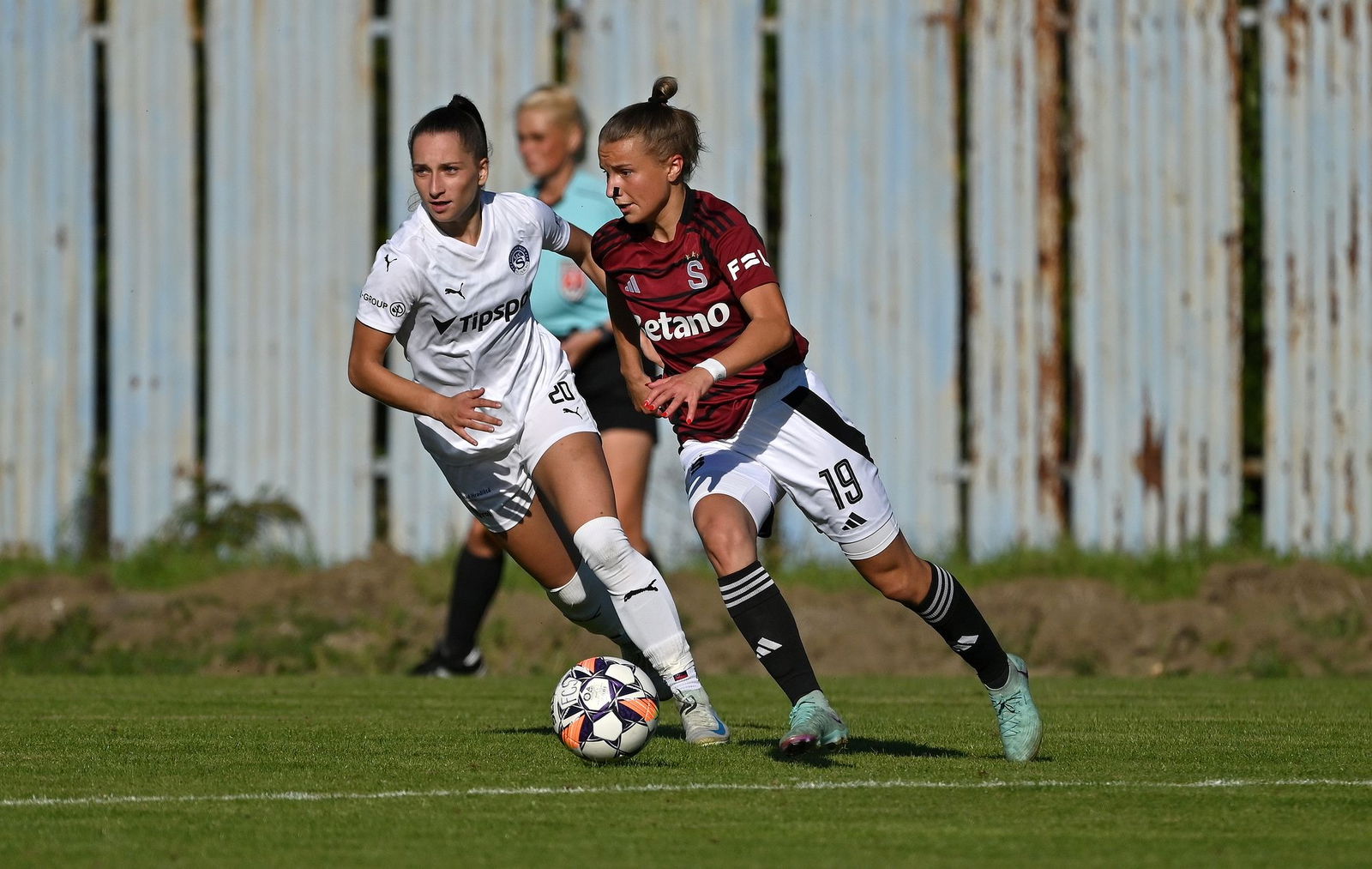 PJml_20240922_296773_web