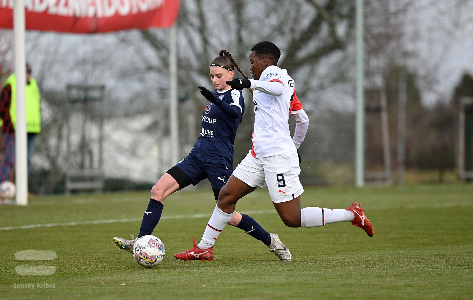 PJml_20230311_090046