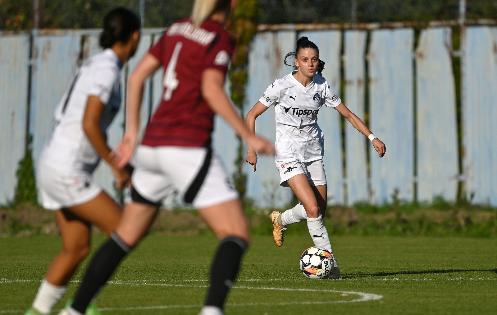 PJml_20240922_296805_web