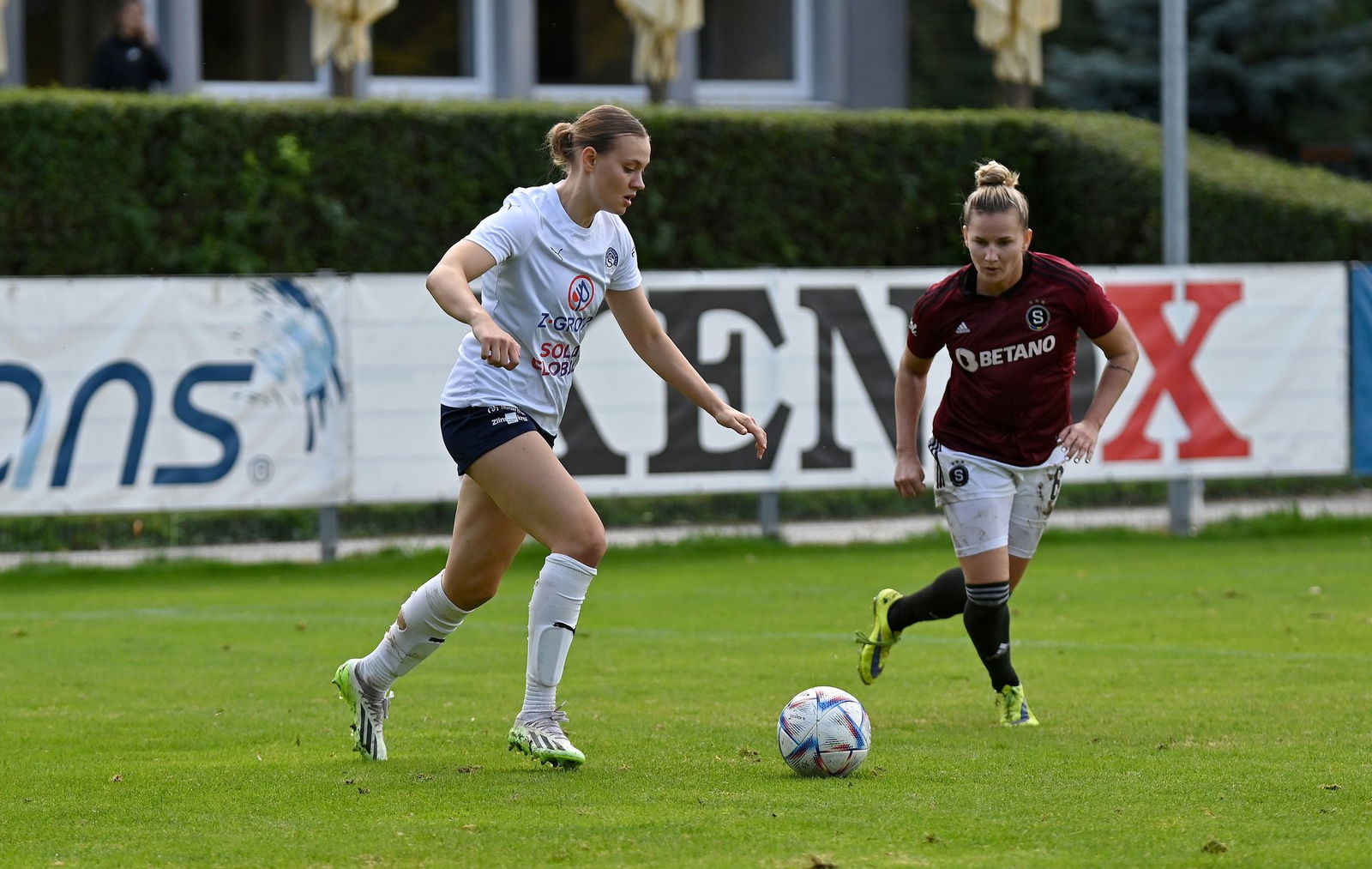 PJml_20231014_234897_web