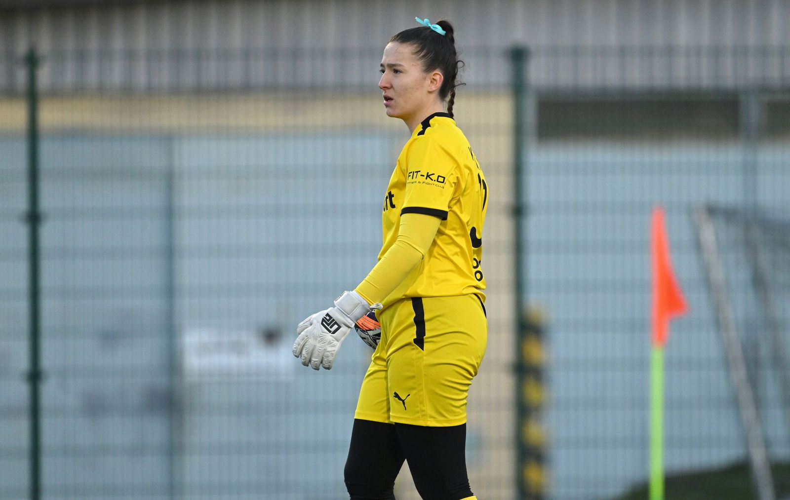 PJml_20250201_312898_web