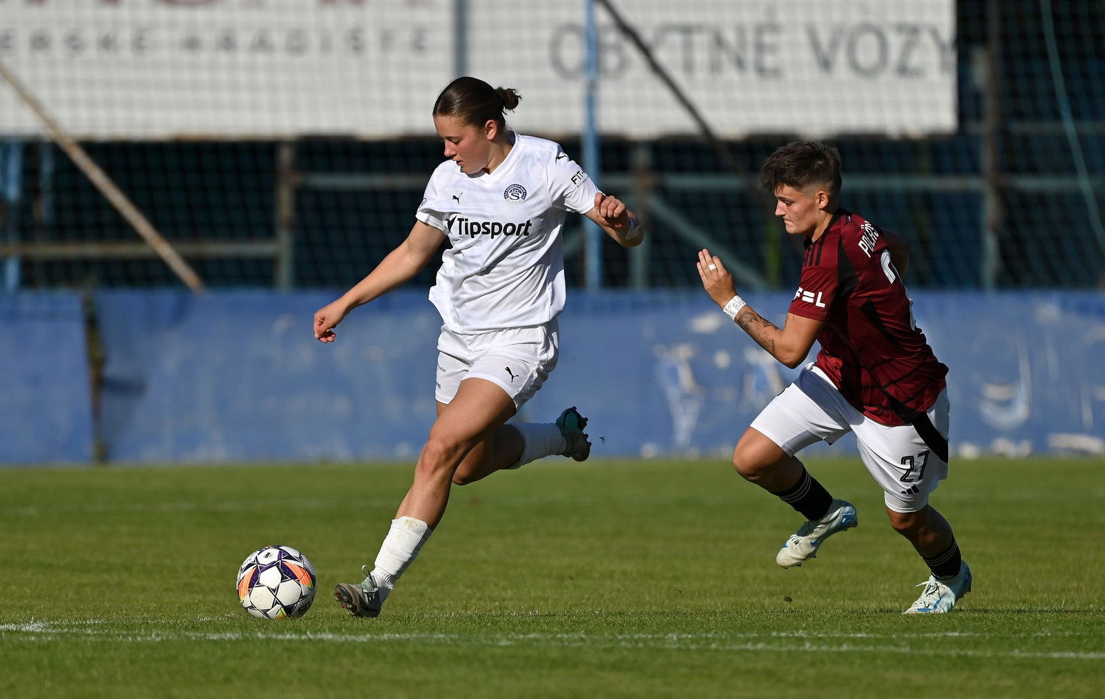 PJml_20240922_296767_web