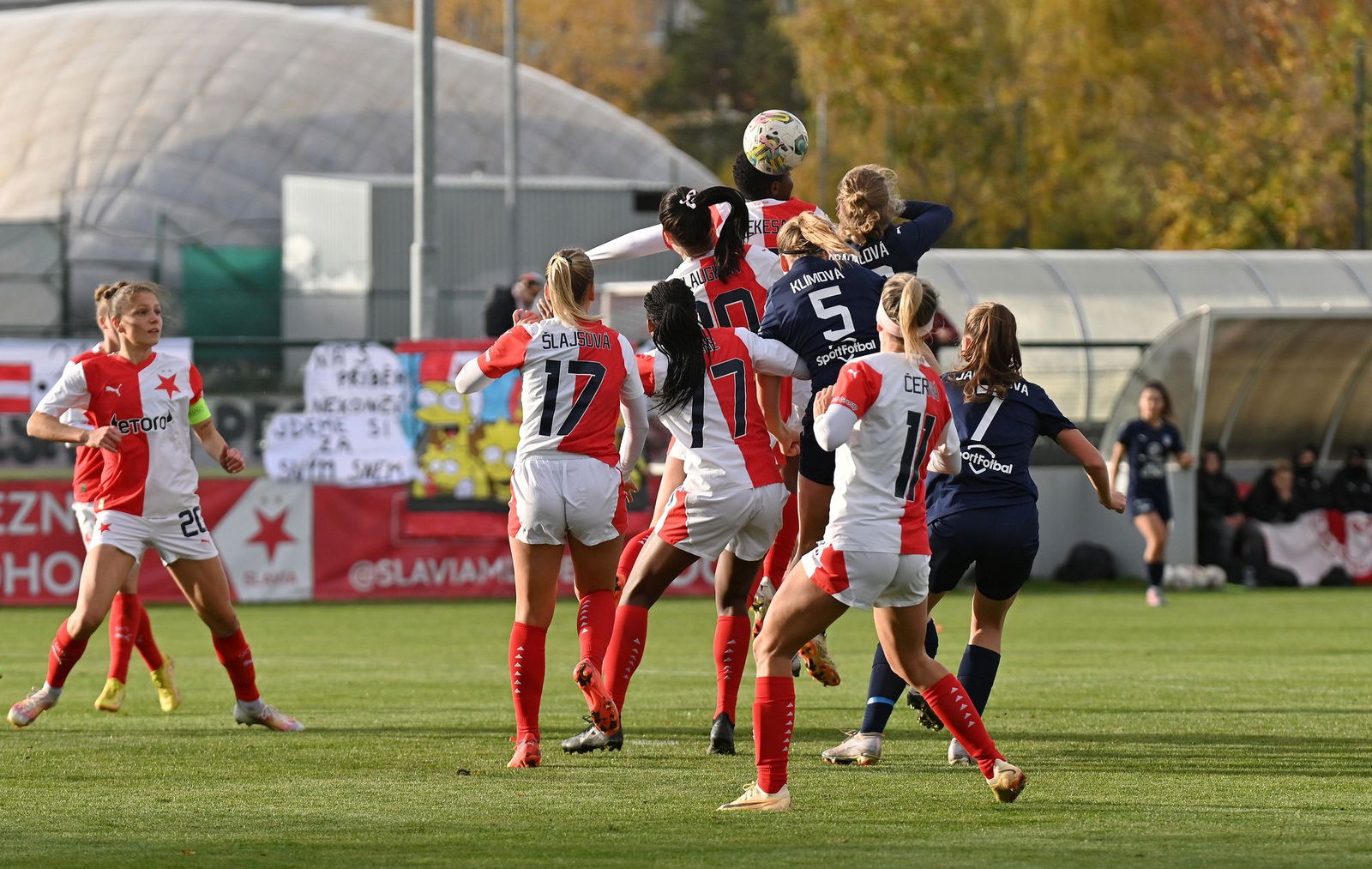 PJml_20231110_244559_web