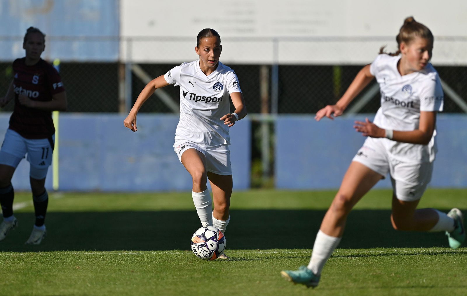 PJml_20240922_296775_web