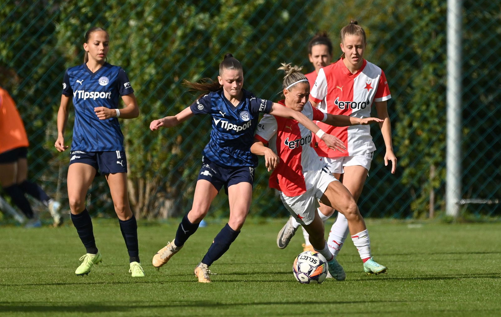 PJml_20240929_297093_web