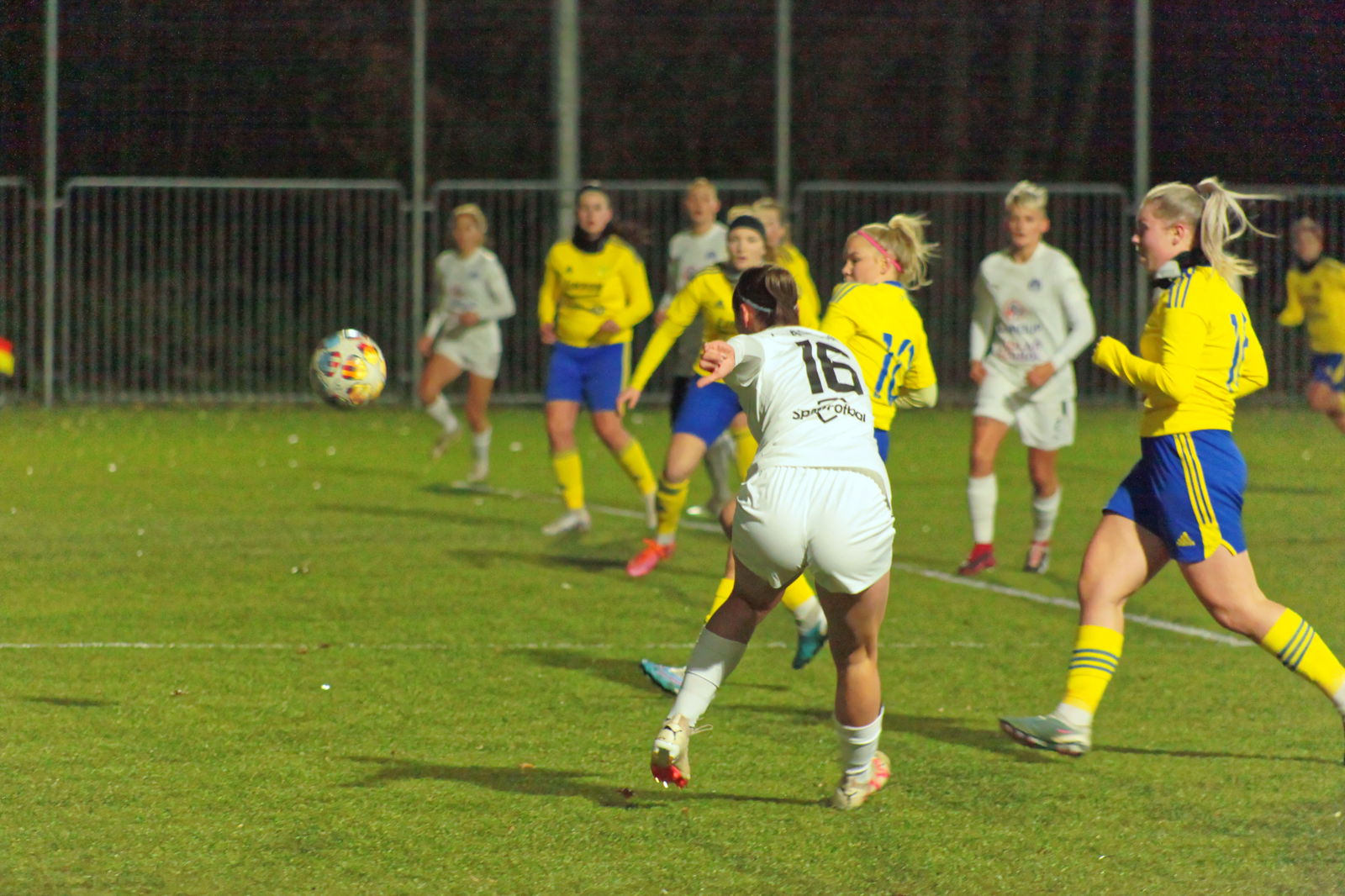 IMG_8324_20231124_zlnslo_2000