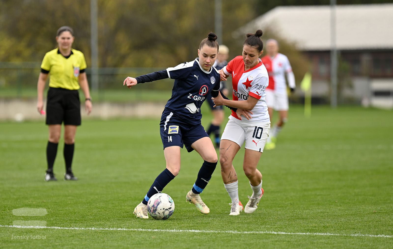 PJml_20230415_115302_web