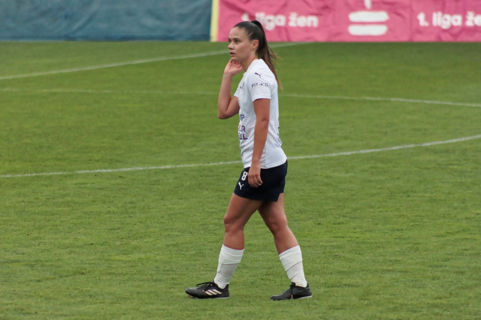 IMG_6239_DxO_2000 - kopie