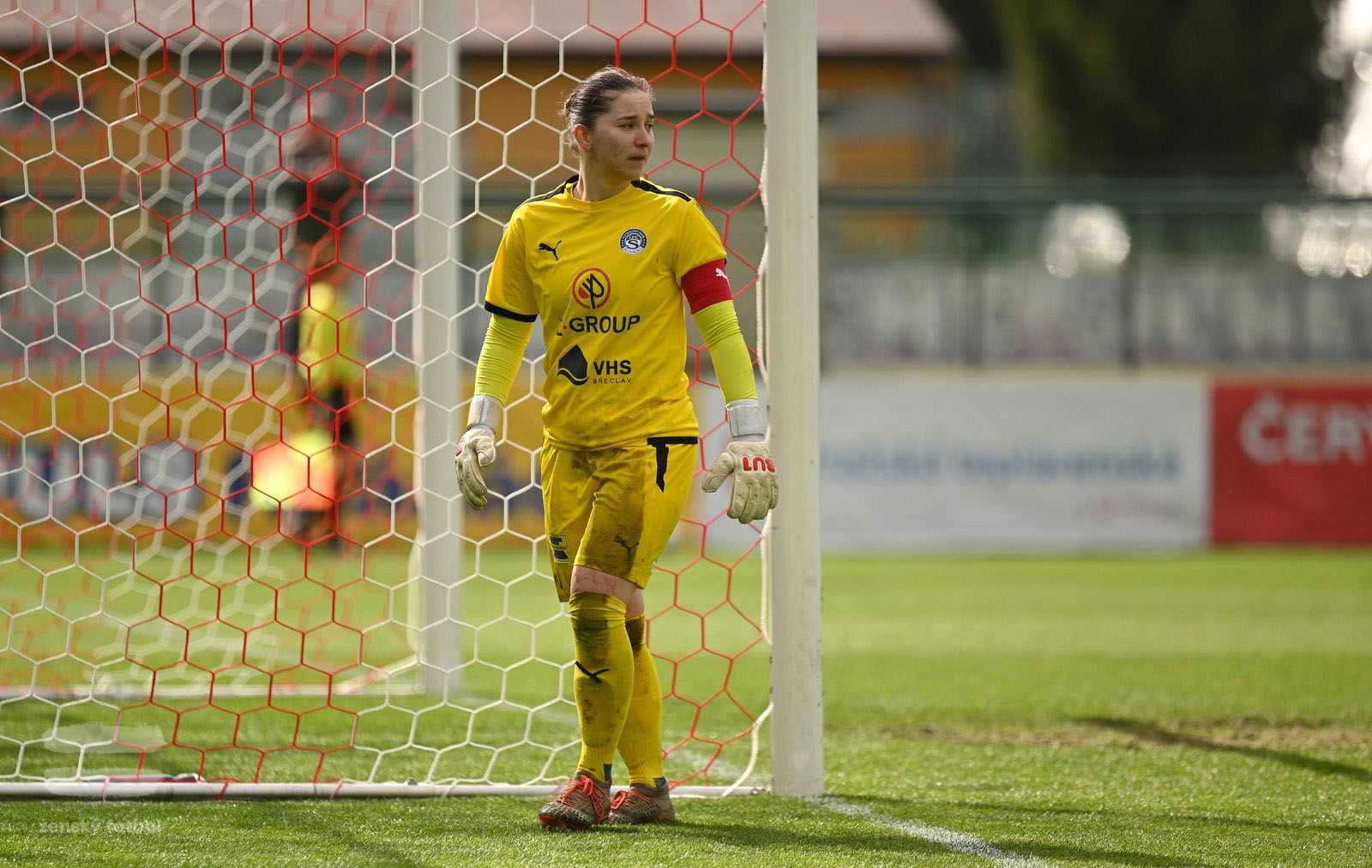 PJml_20230415_115478_web