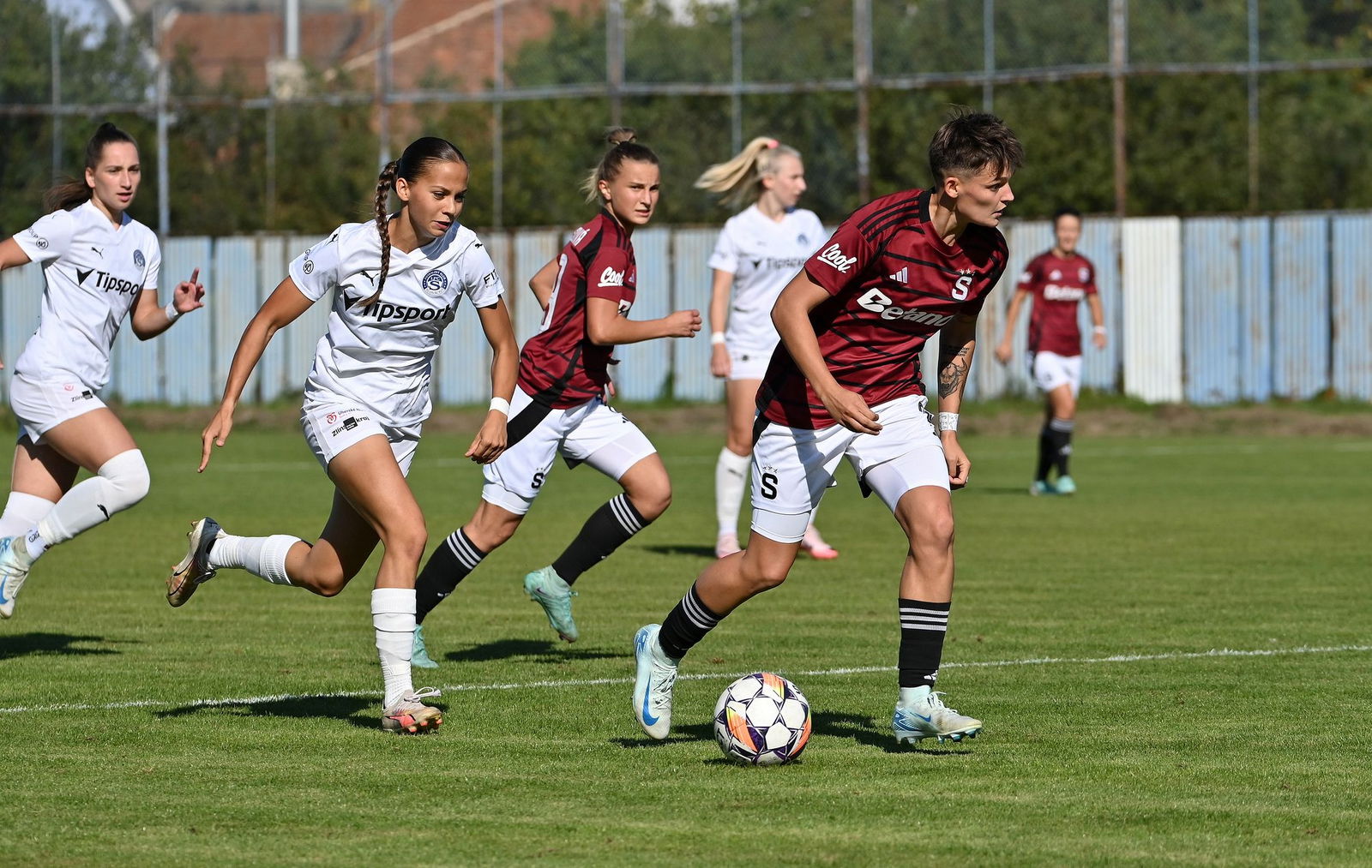 PJml_20240922_296712_web