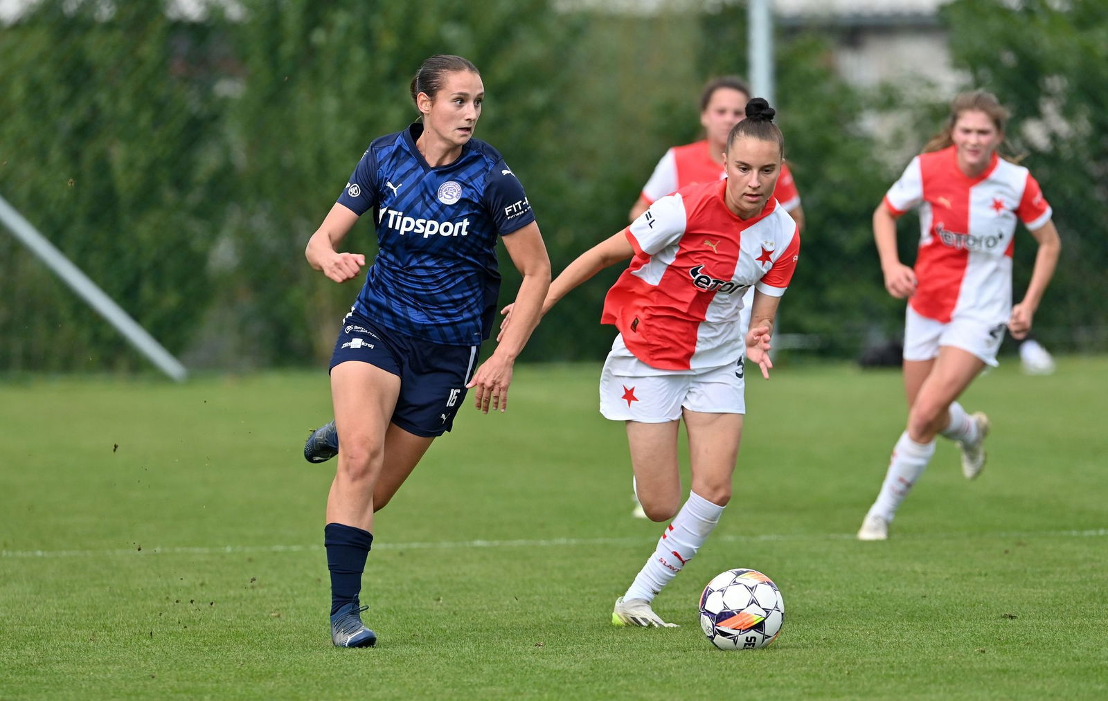 PJml_20240929_297051_web