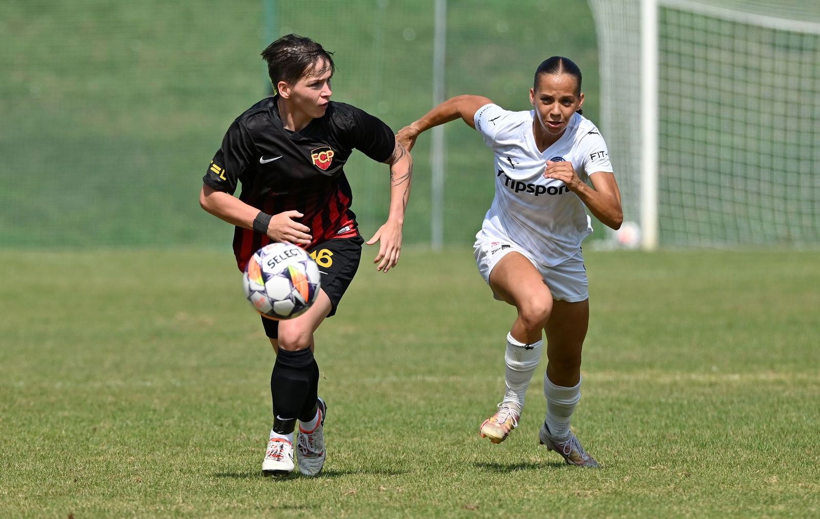 PJml_20240901_296028_web