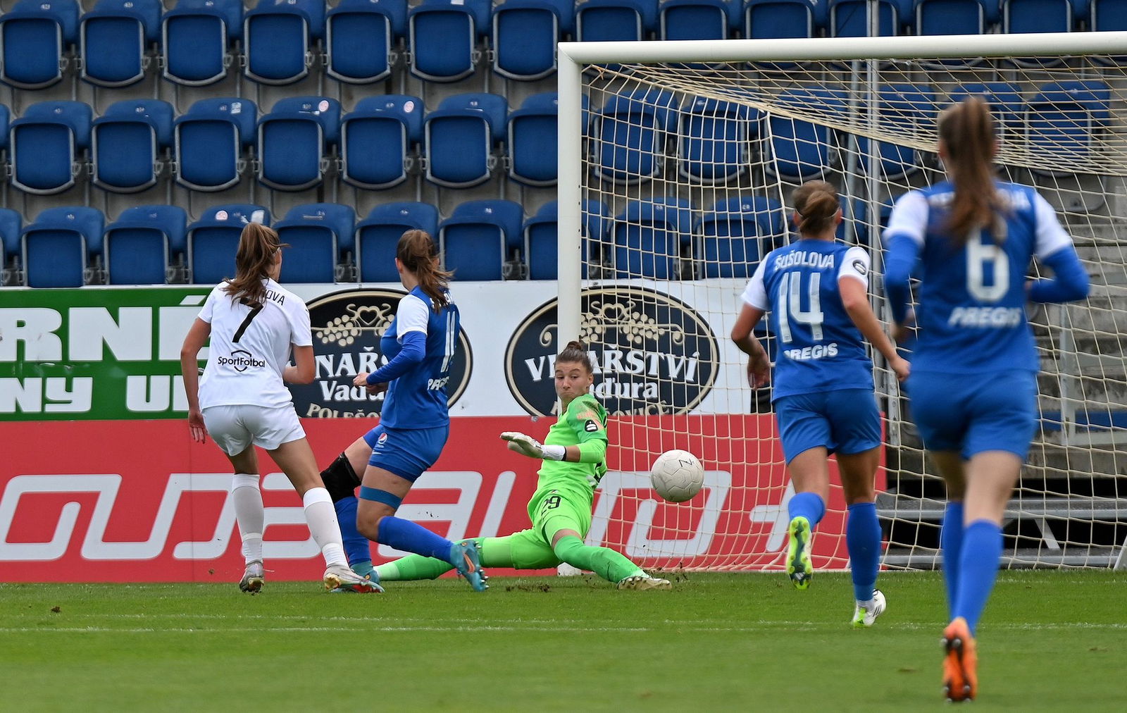 PJml_20231008_230883_web