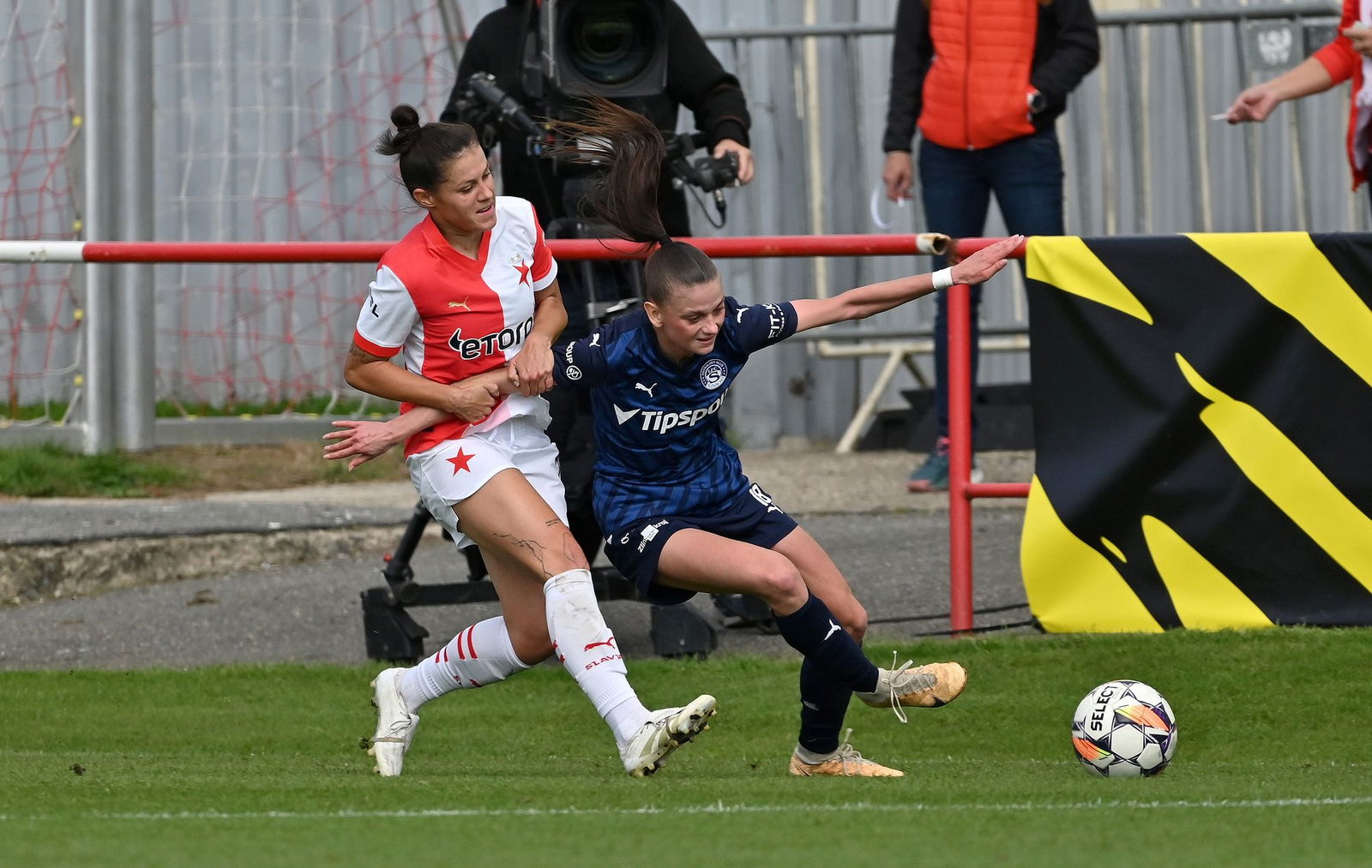 PJml_20240929_297059_web