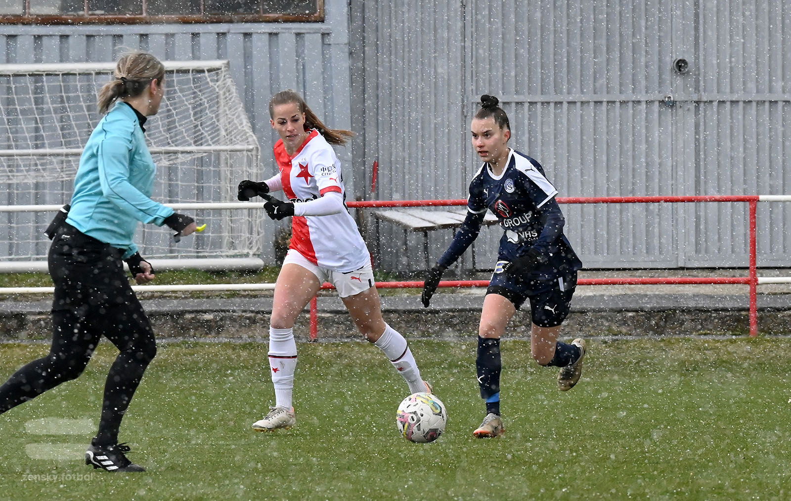 PJml_20230311_090215