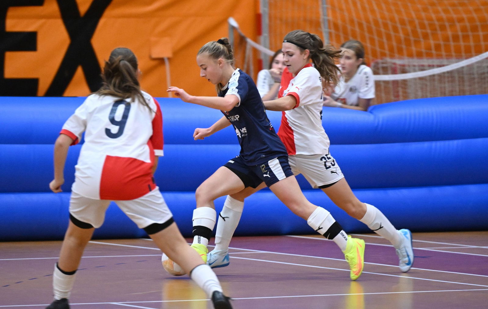 PJml_20241123_303504_web