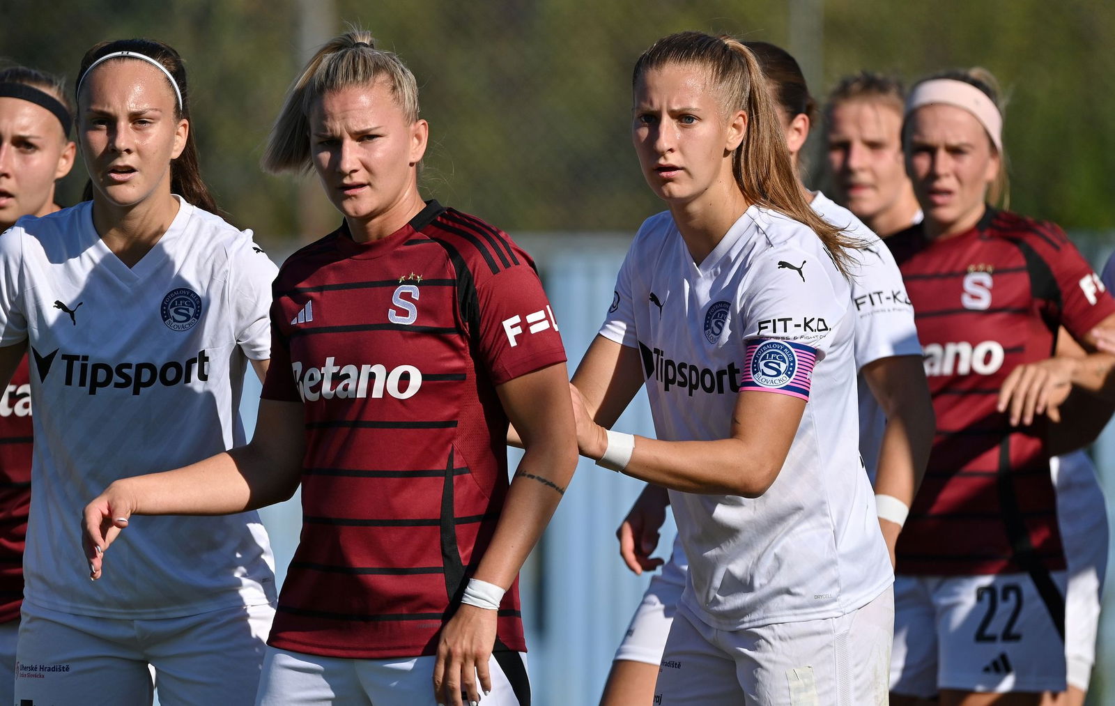 PJml_20240922_296740_web