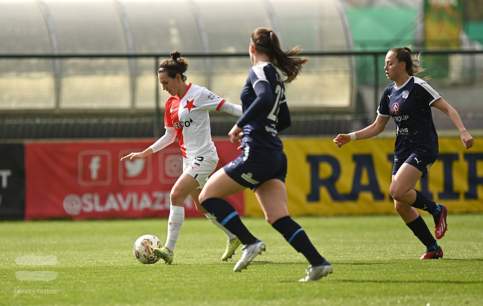 PJml_20230415_115711_web