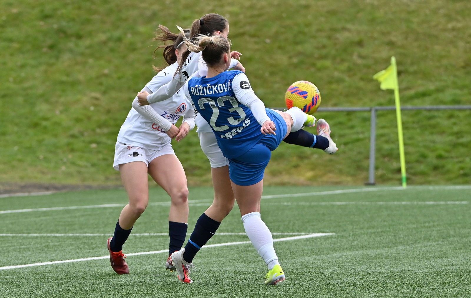 PJml_20240323_274439_web