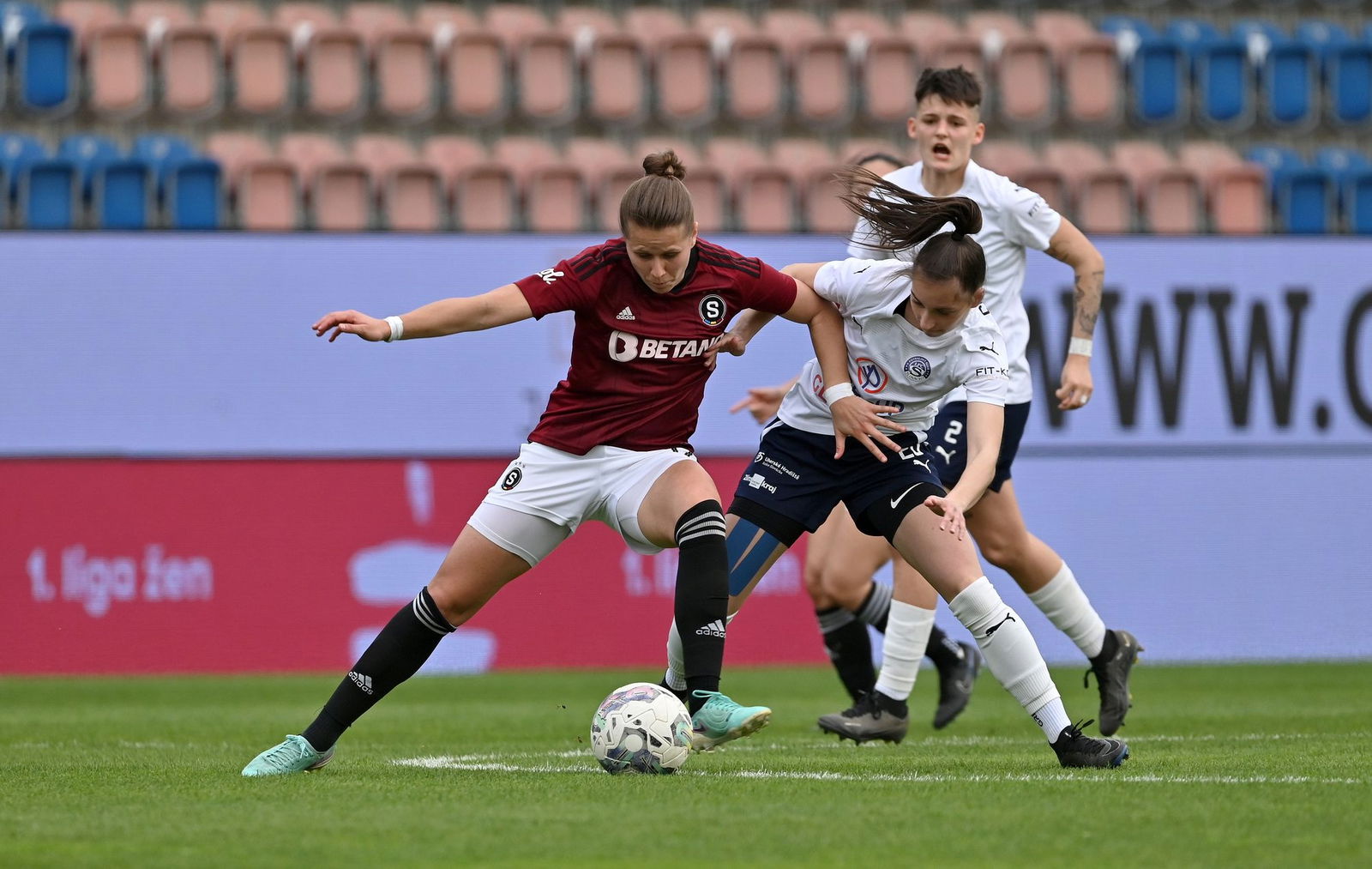 PJml_20230331_276111_web