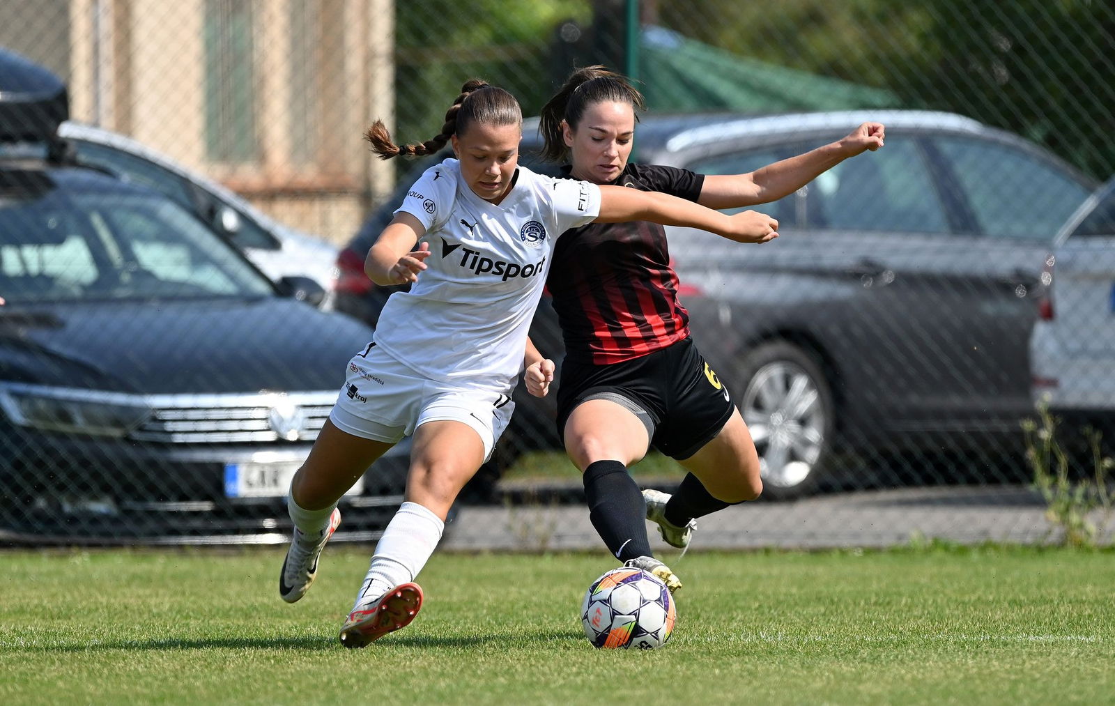 PJml_20240901_296009_web