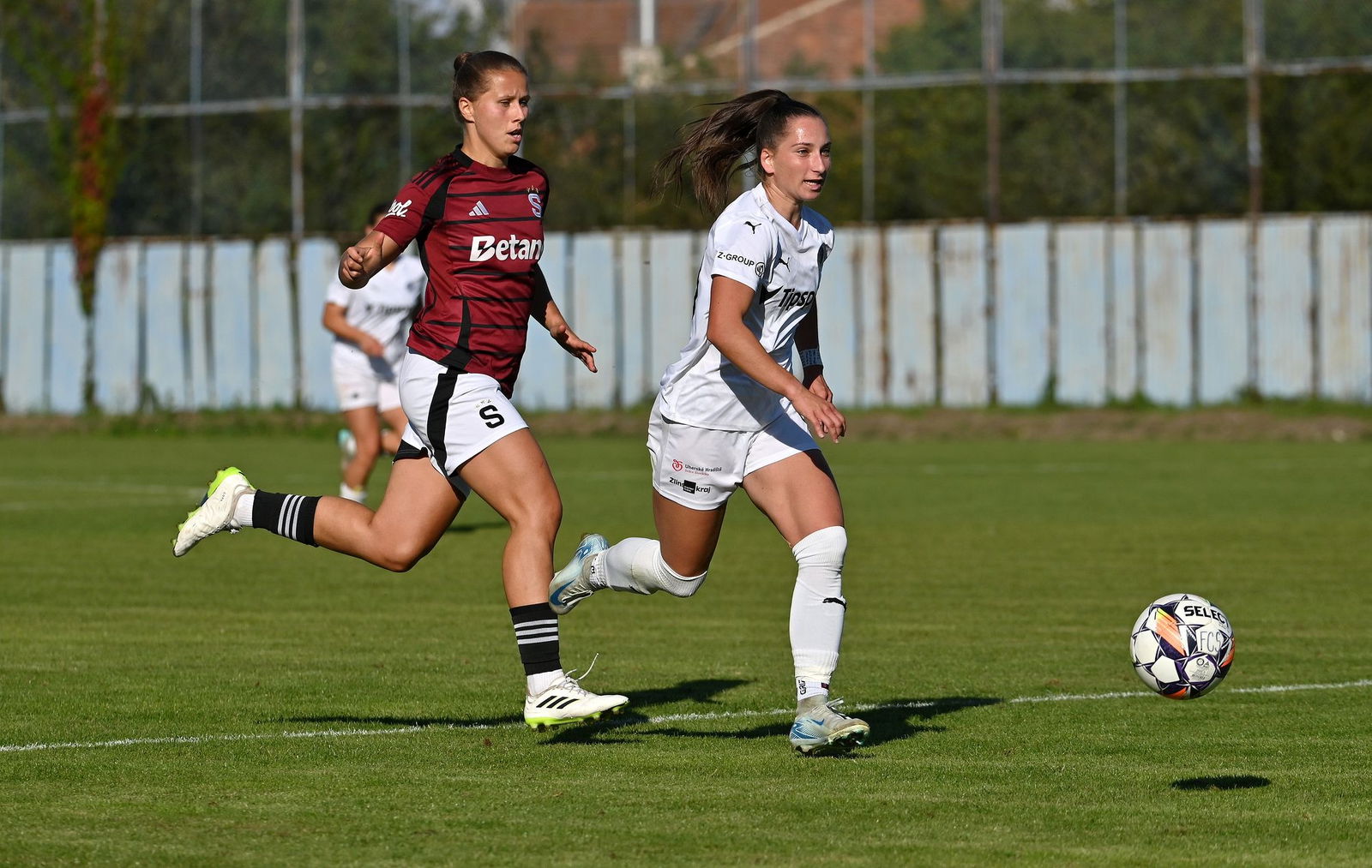 PJml_20240922_296777_web