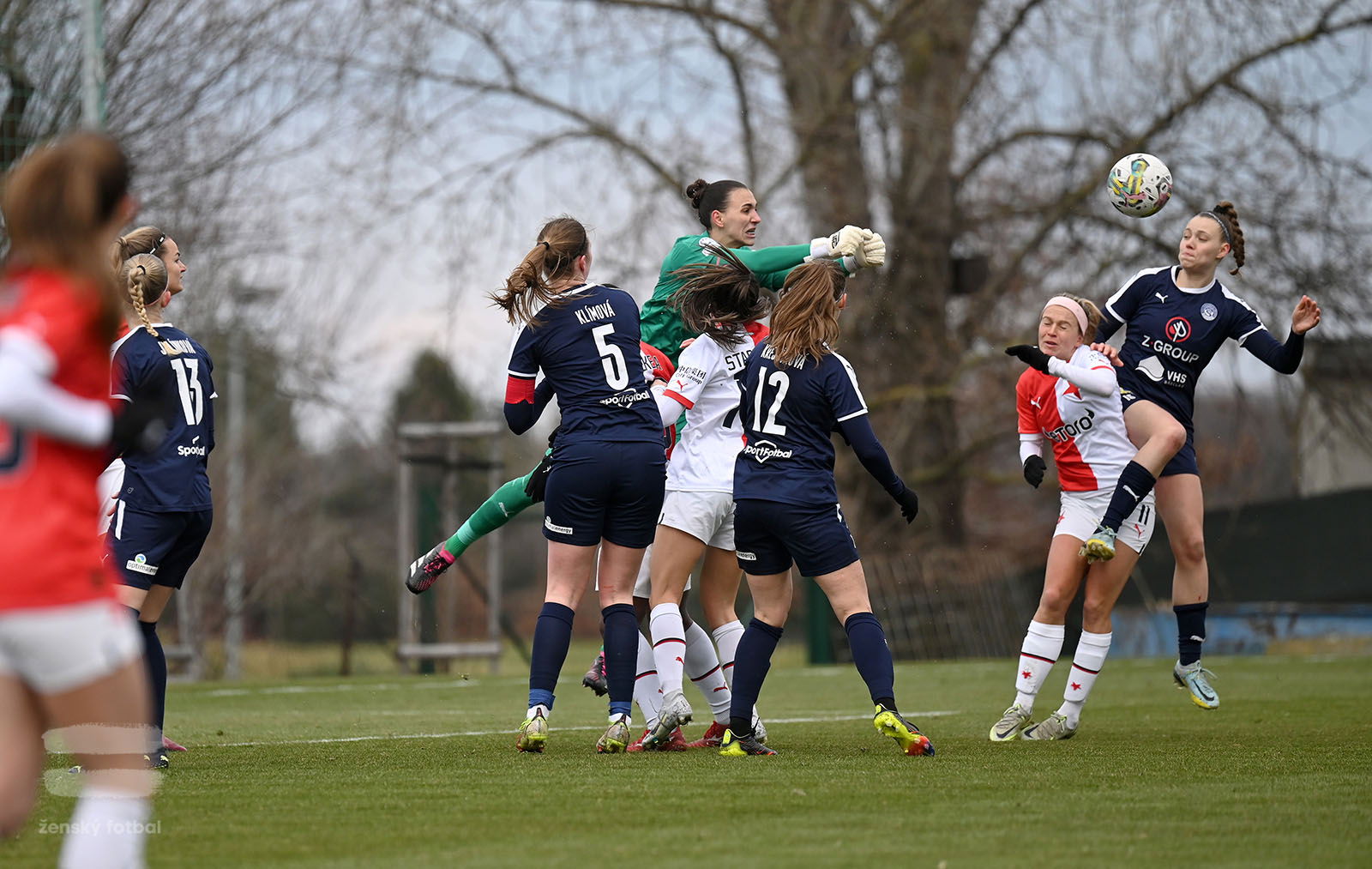 PJml_20230311_090250