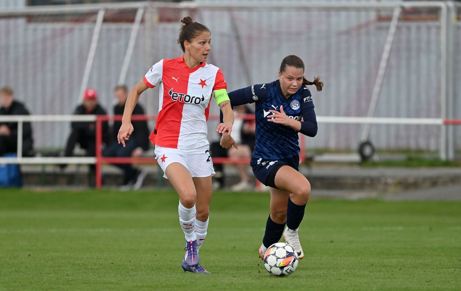 PJml_20240929_297138_web