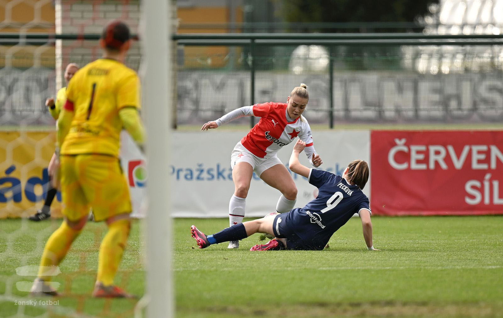 PJml_20230415_115618_web