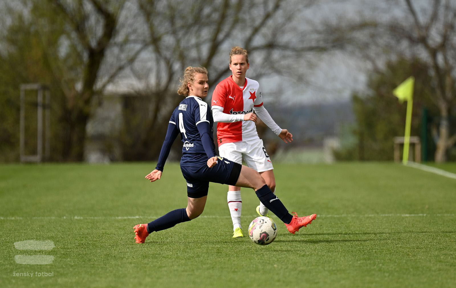 PJml_20230415_115664_web