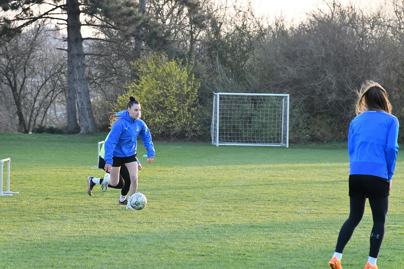 DSC_0445_20240307_pred_jarem_1920