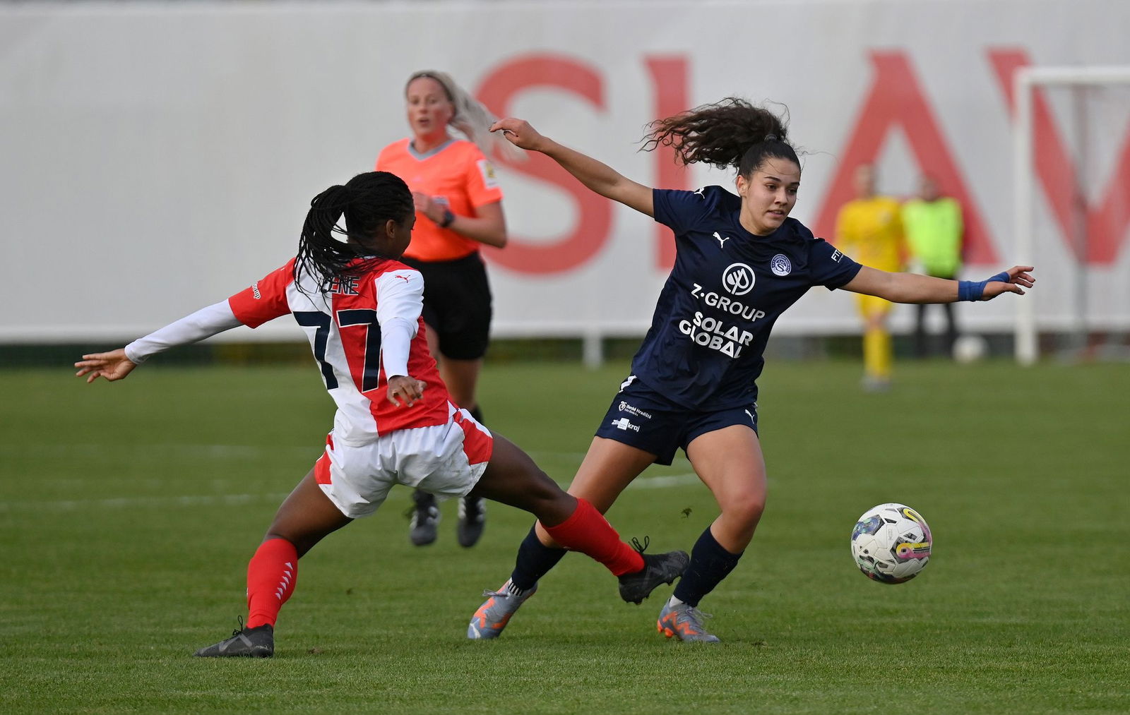 PJml_20231110_244616_web