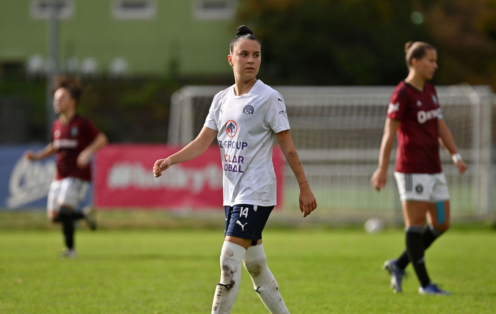 PJml_20231014_234883_web