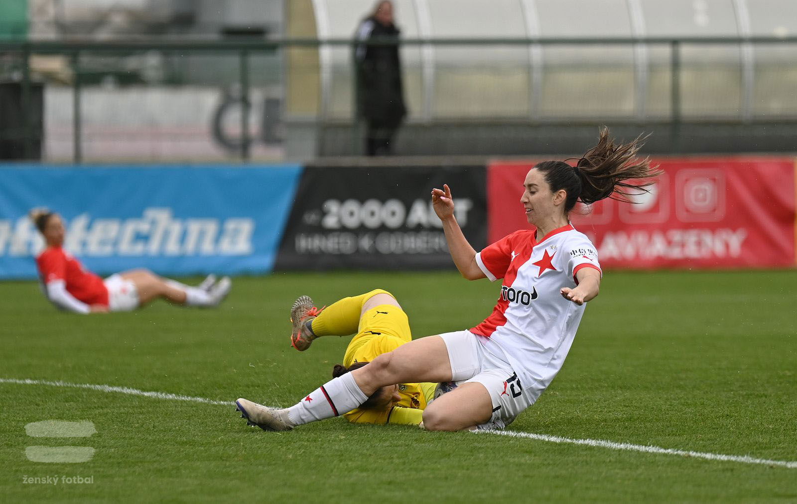 PJml_20230415_115316_web