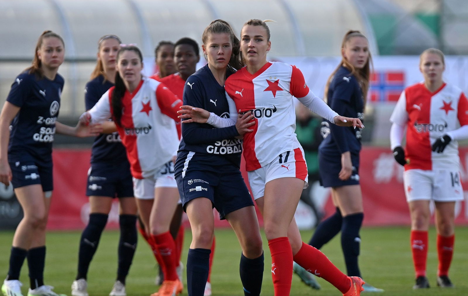 PJml_20231110_244627_web