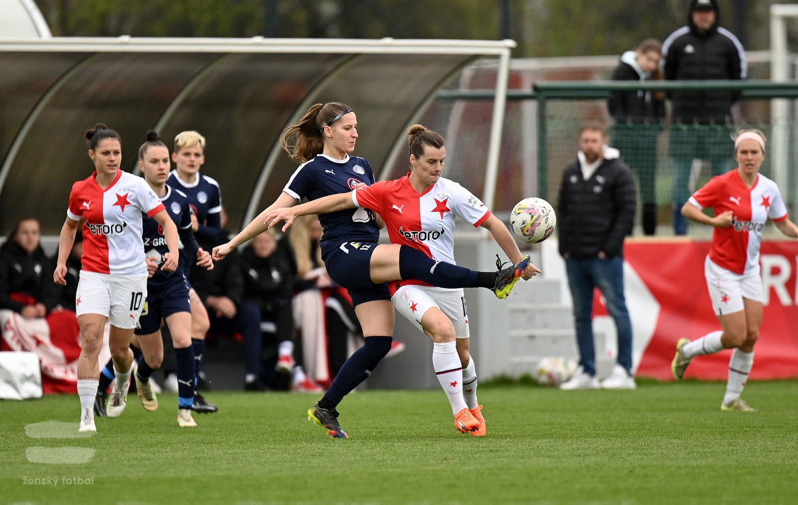 PJml_20230415_115286_web