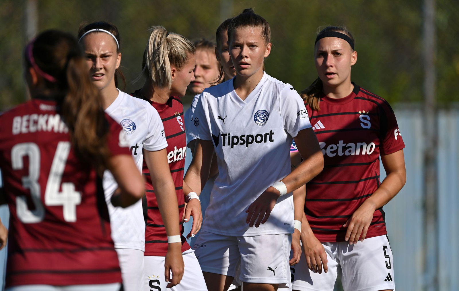 PJml_20240922_296738_web