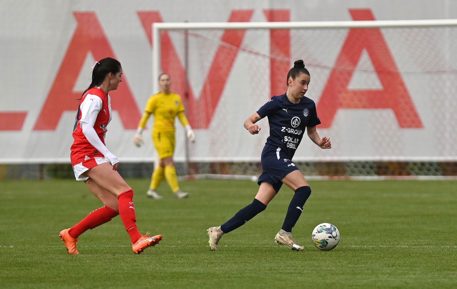 PJml_20231110_244565_web