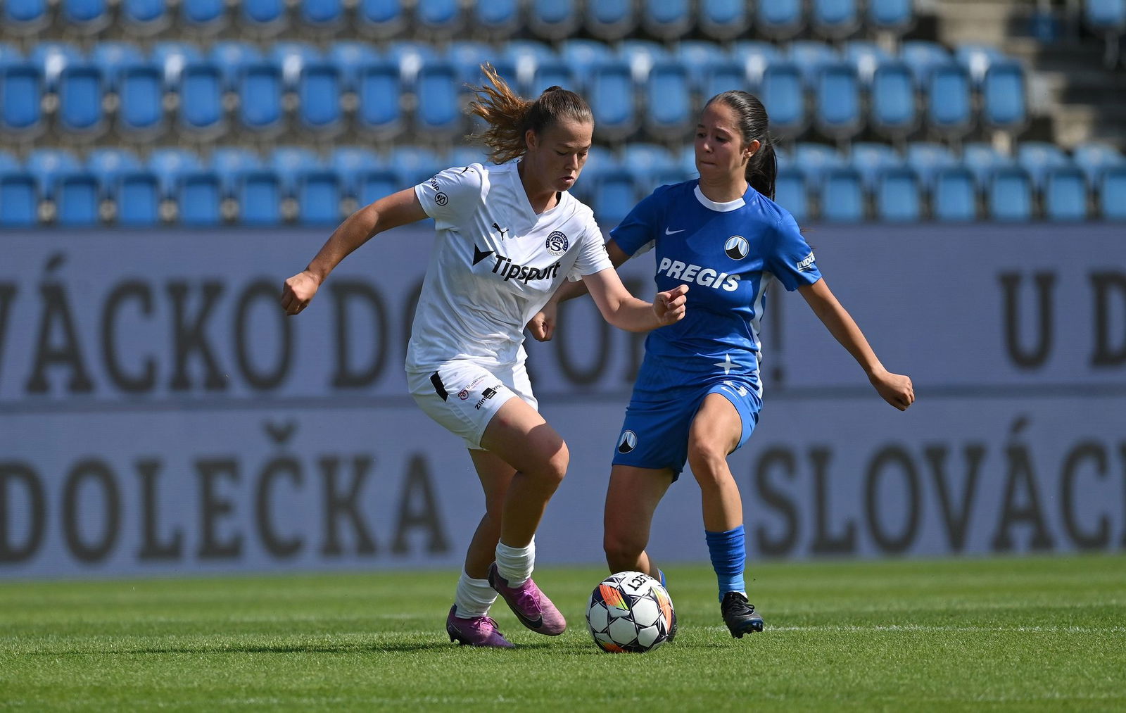 PJml_20240825_295279_web