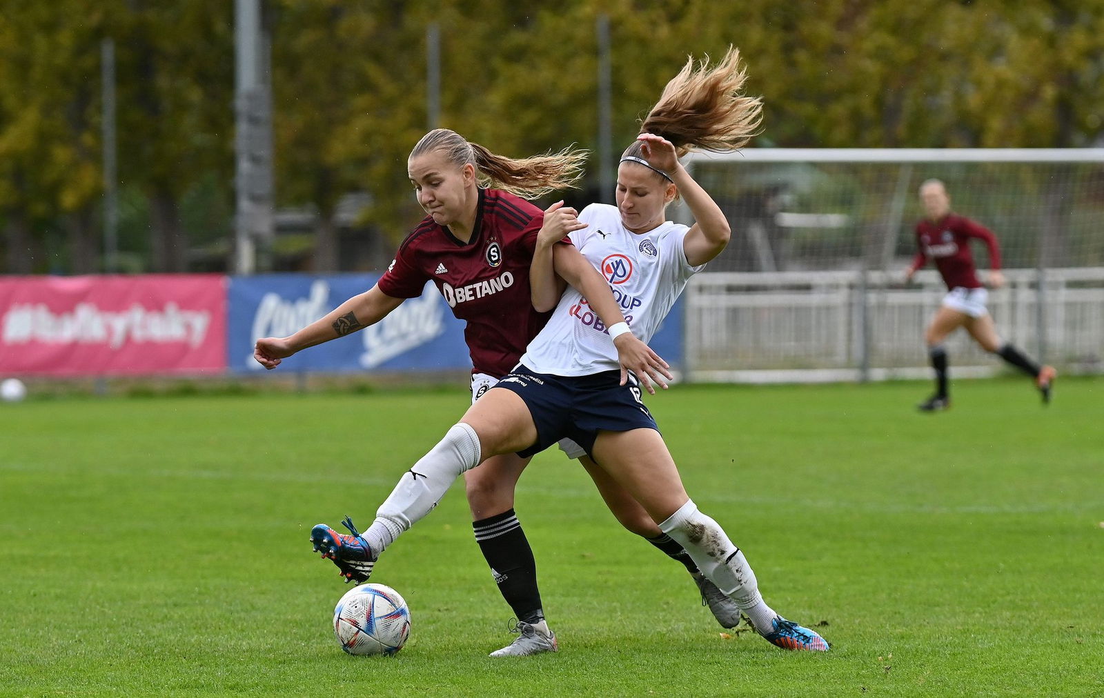 PJml_20231014_234769_web