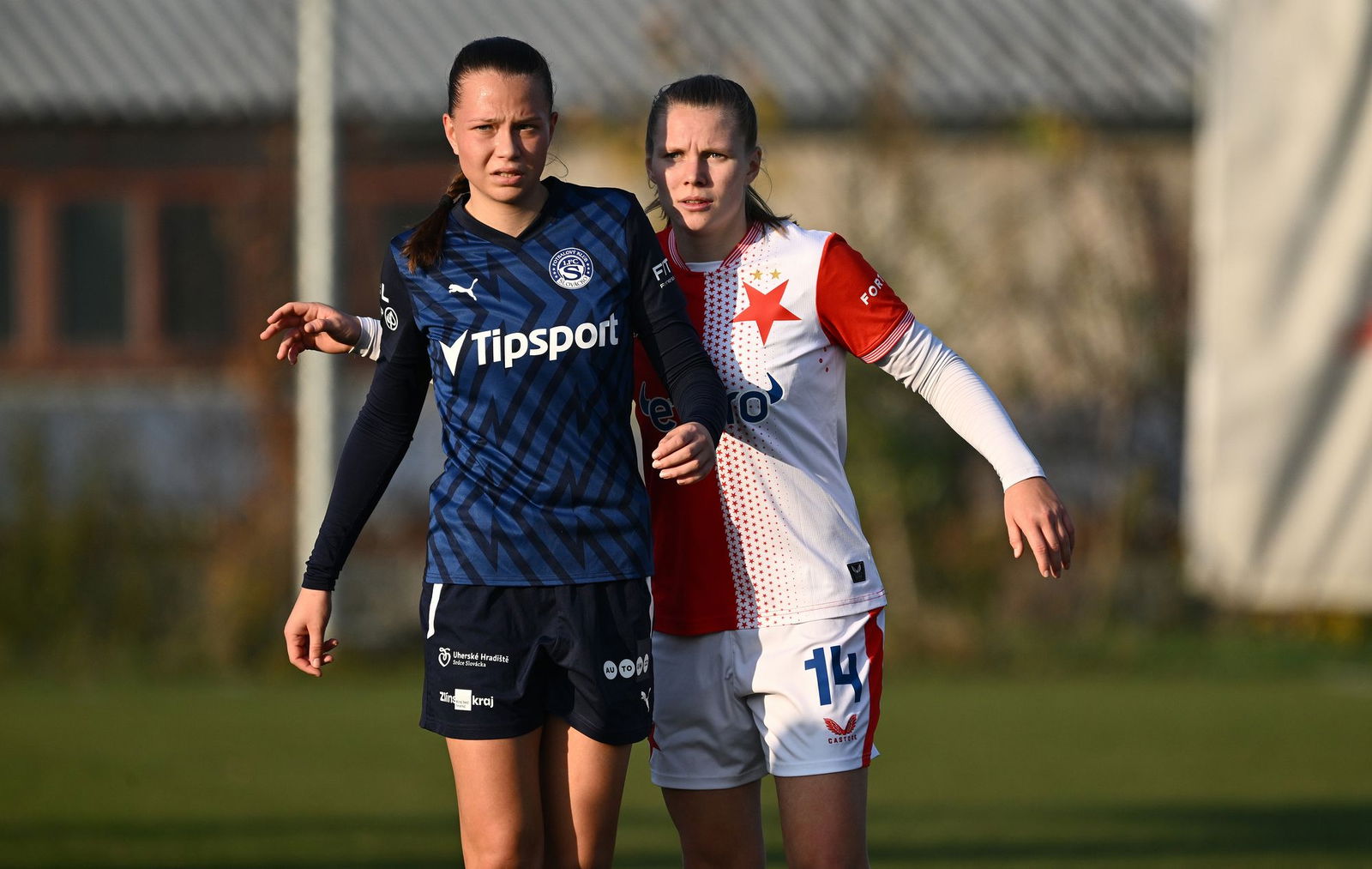 PJml_20251108_322097_web