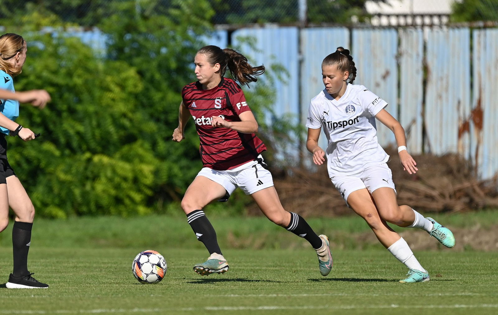 PJml_20240922_296704_web