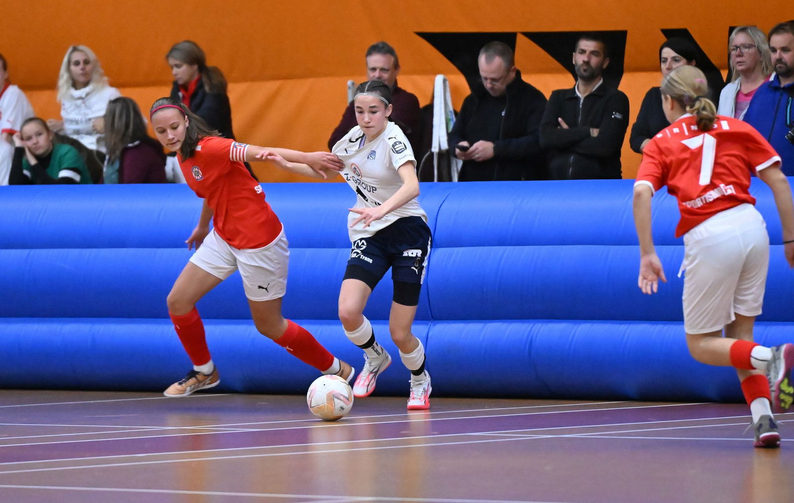 PJml_20241123_303016_web