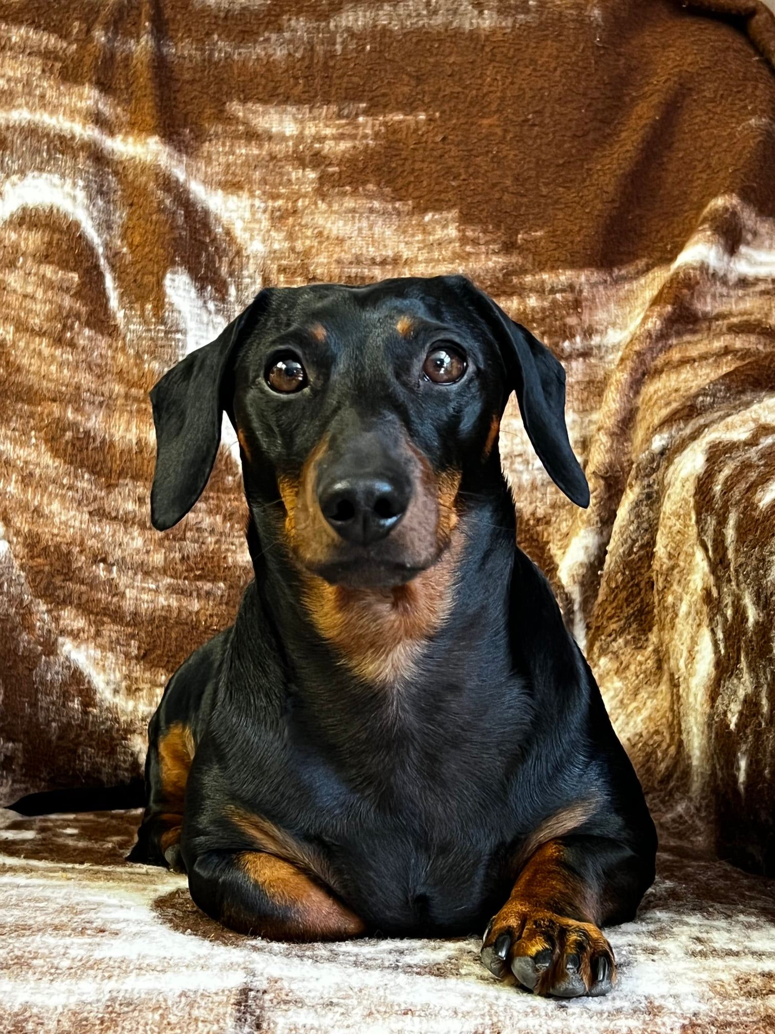 278052827_5626075114086660_1143610506952479413_n